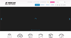Desktop Screenshot of mercanmatbaa.com